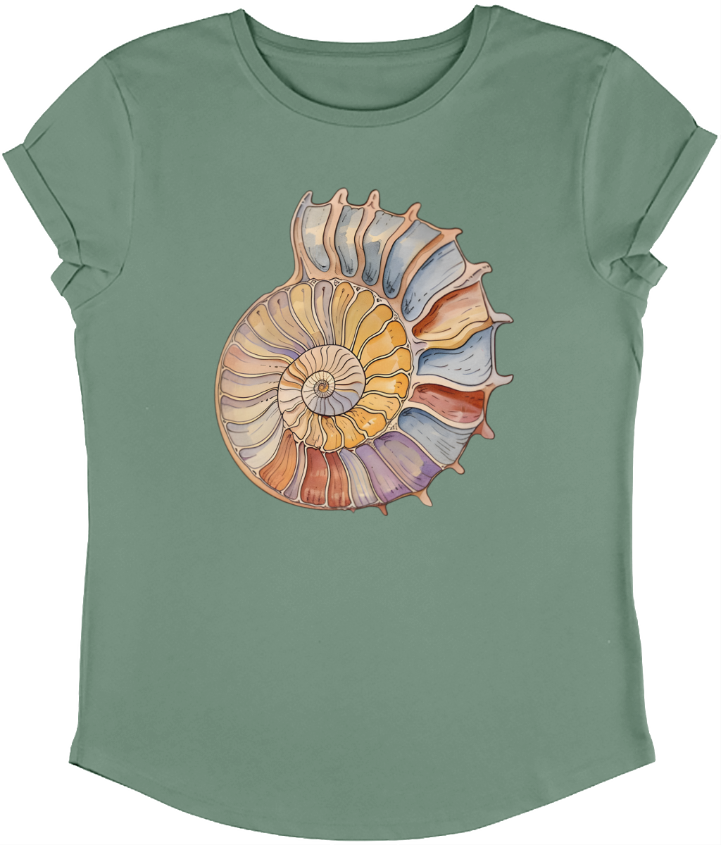 Ammonite drawing Women's Rolled sleeve T-shirt